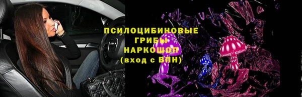 индика Алексеевка