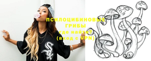 индика Алексеевка