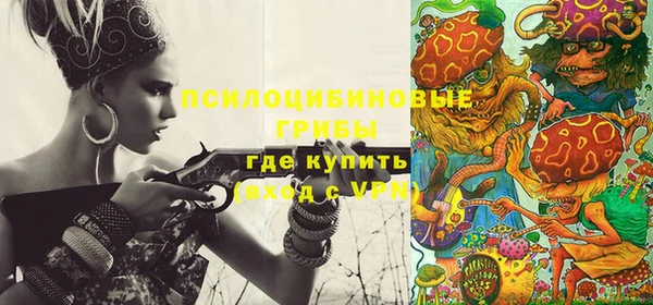 индика Алексеевка
