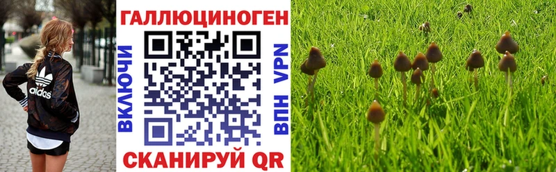 Псилоцибиновые грибы MAGIC MUSHROOMS  кракен ТОР  Янаул 